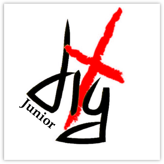 DiG Junior logo